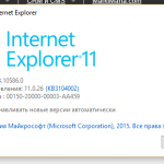 Рис.2. Версия Internet Explorer