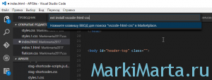 Рис.1. Поиск расширений для Visual studio code